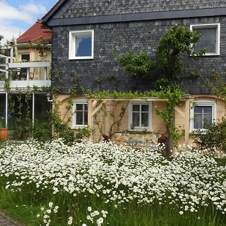 Privatzimmer Lehmann Kottmar Buitenkant foto