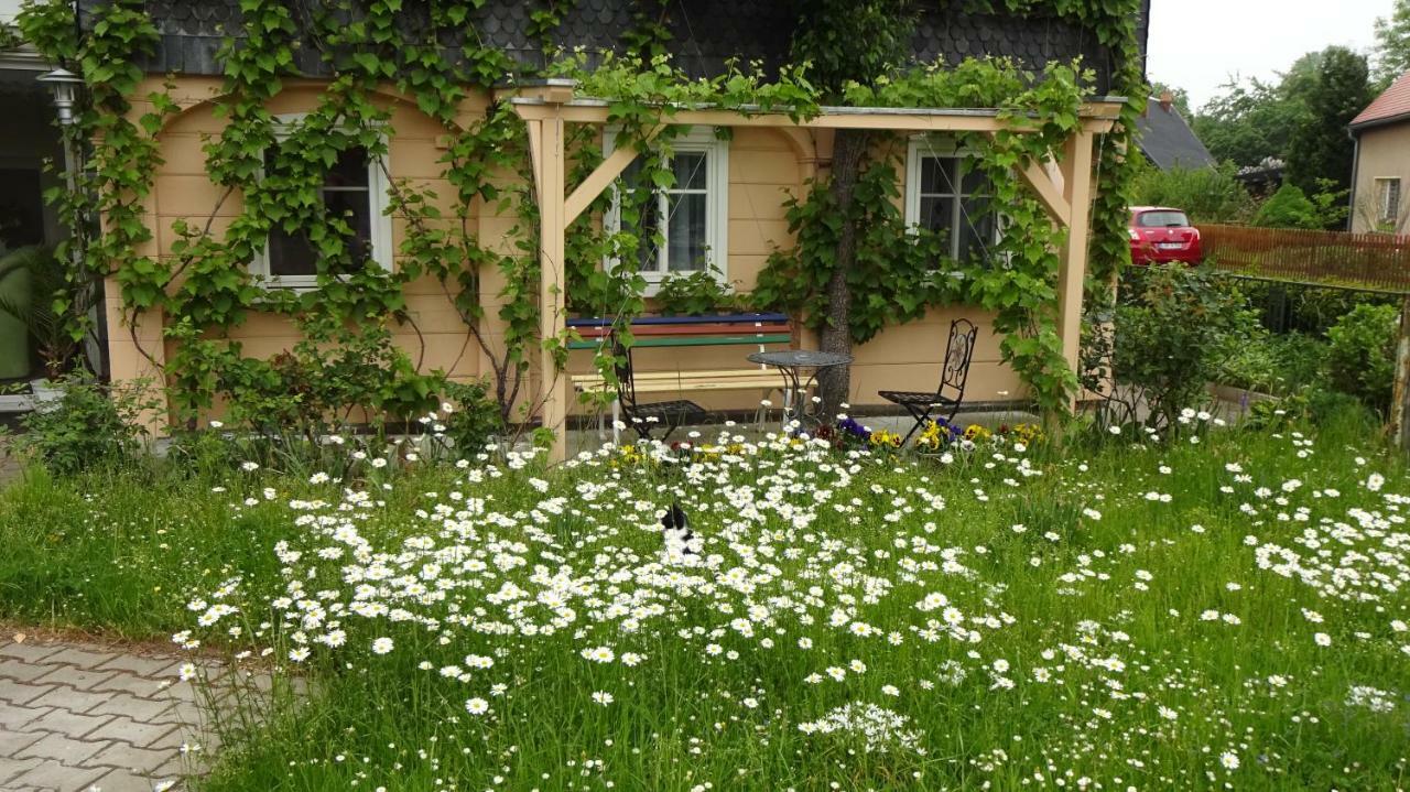 Privatzimmer Lehmann Kottmar Buitenkant foto